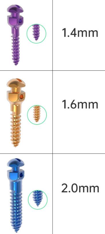 Orthodontic Screw